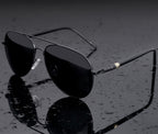 Aviator Spring  Polarized (vue 3) — eprolo | View Optik