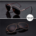Aviator Spring  Polarized (vue 4) — eprolo | View Optik